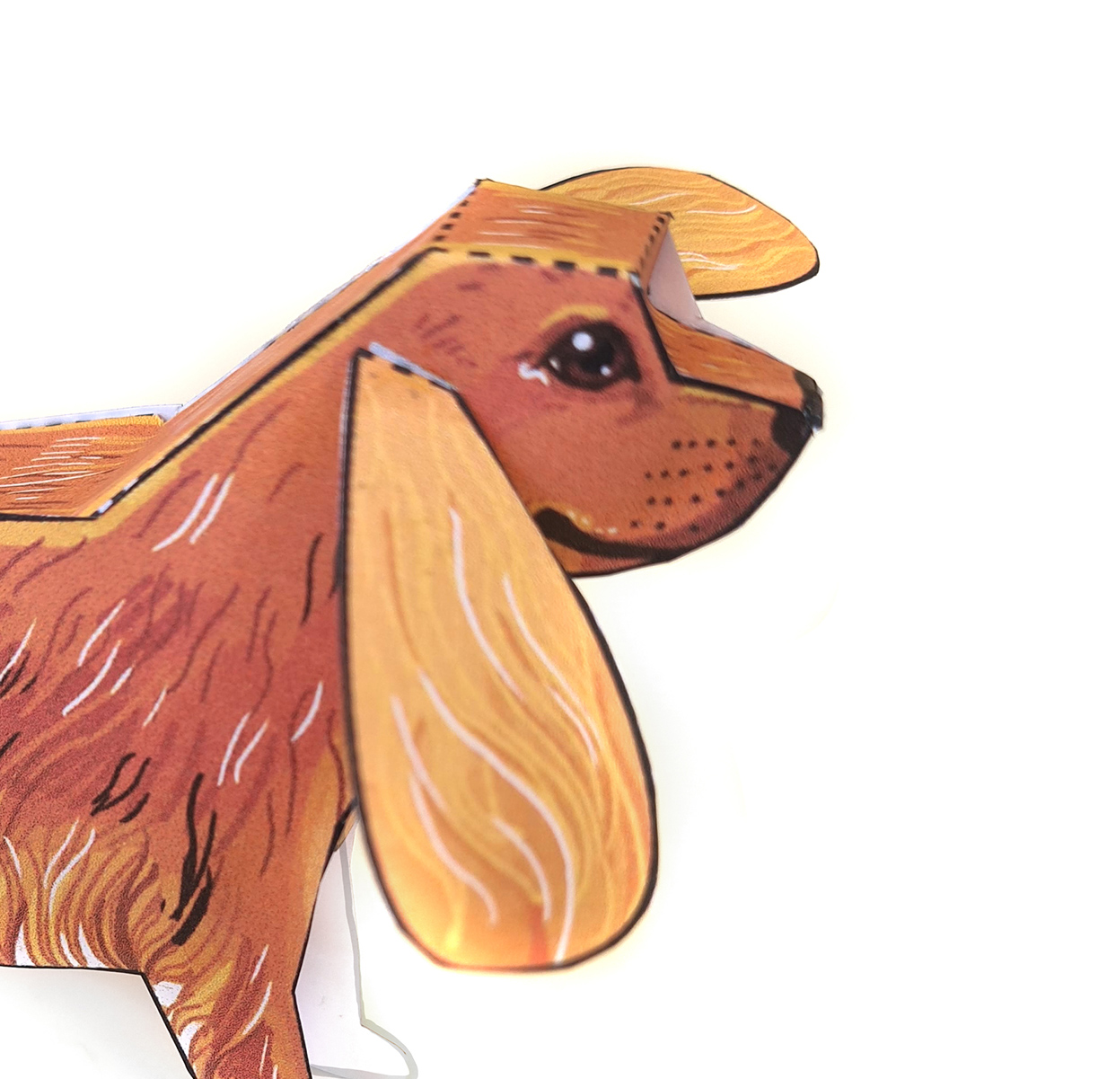 CockerSpanielCoco Rentier